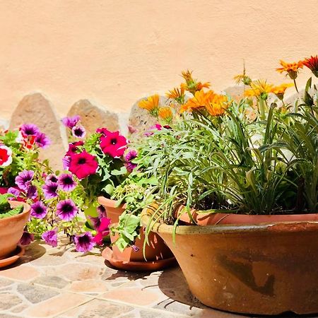 Domo All'Antico Borgo Oristano Zewnętrze zdjęcie