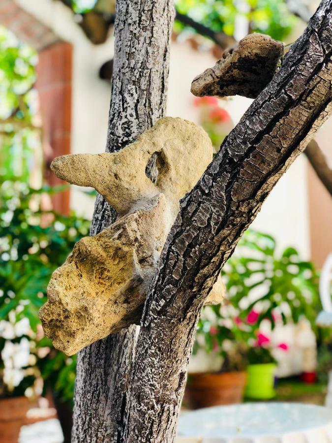 Domo All'Antico Borgo Oristano Zewnętrze zdjęcie